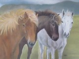by Sharon Herbert