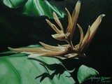 by Rosette Ramos-Brewer