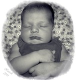by Cynthia Hammontree
