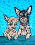 by Cynthia Snyder