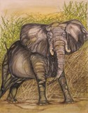 by Anne Buffington
