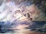by Tanya Lundmark