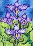 by Virginia Swift