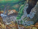 by Tony Durrant