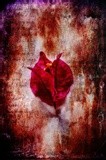 by Randi Grace Nilsberg