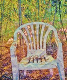 by susan bayley