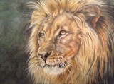 by Trudy Barlow