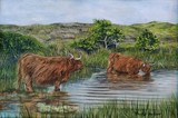 by Trudy Barlow