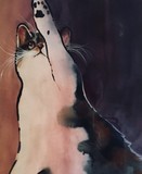 by Richard  OMalley 