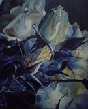 by Cene gál István