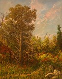 by Thomas Coulson