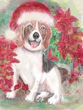 by Pat 'Gracie'  Merewether