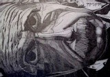 by Gabriel Corchado