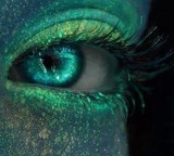 by Denise Catino