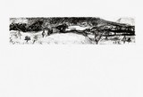 by Dafna Rotstein Shapira