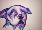 by Janie Pini