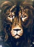 by Sara Carrington