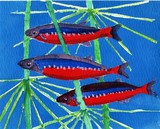 by Sandi Traver
