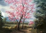 by Videh Agnihotri