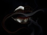 by Mihaela B