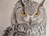 by Nicholas Akers