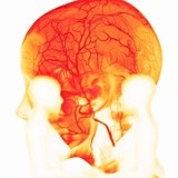 by özen özge güçlü