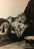 by Gary Shaughnessy