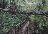by Kathleen Brake