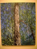 by Gayle Taylor
