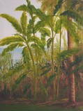 by William Boyer