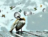 by Tabitha Borges