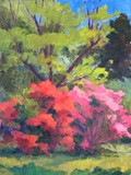 by Marsha Savage