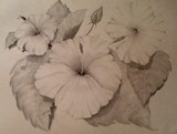 by Becky Everett 