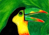 by Vicki Schmand
