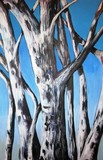 by Eileen Kasprick