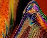 by Carl Huffman