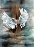 by Katarzyna Sejud