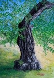 by José Ramalhão Fortunato