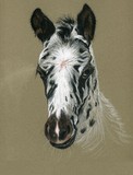 by Jennifer Redstreake