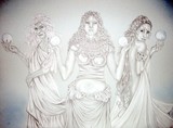 by Lee Anne Seed