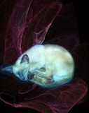 by Lilly Antoneavic