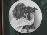 by Deborah  Johnson