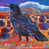 by Marna Schindler