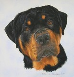 by Joanne Simpson-Connor