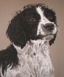 by Joanne Simpson-Connor