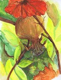 by Marilyn Barton