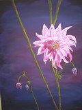 by John Chasteen