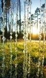by VELYKIO - gintautas velykis -