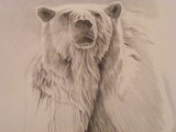 by Jo-Jo Kolodnicki, Jr.