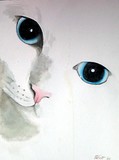by Dana Bernard Elliott